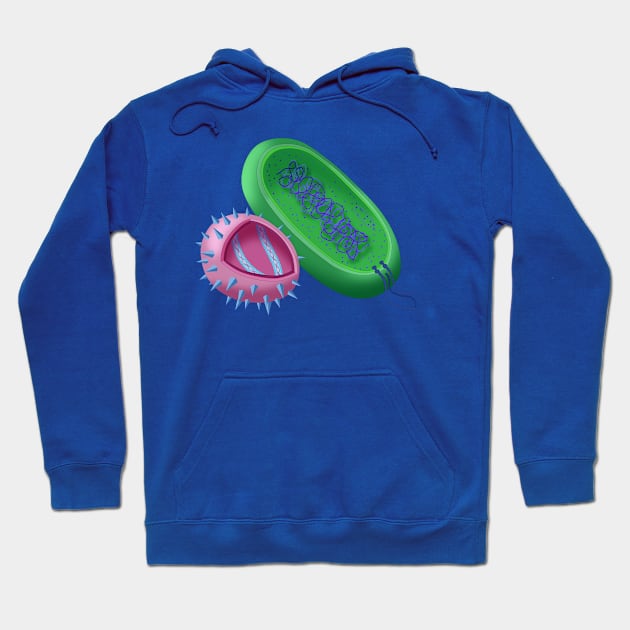 A Colorful Illustration of a Virus Cell and a Bacteria Cell Hoodie by ScienceSource